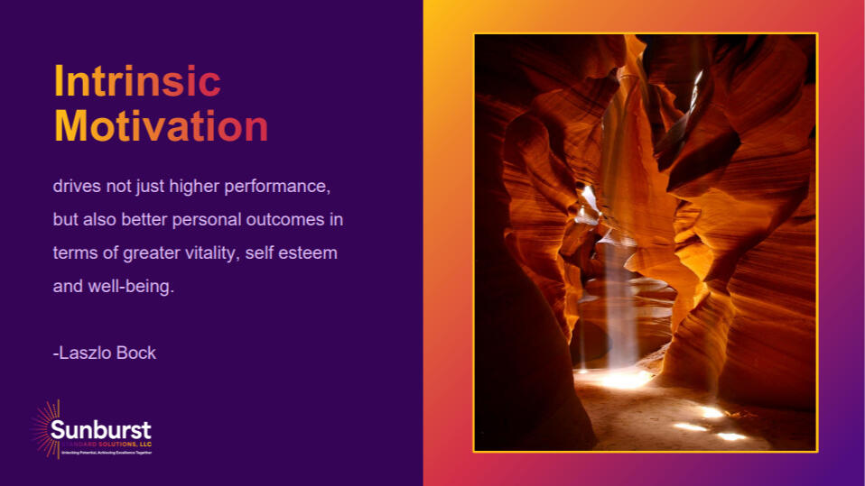 Intrinsic Motivation