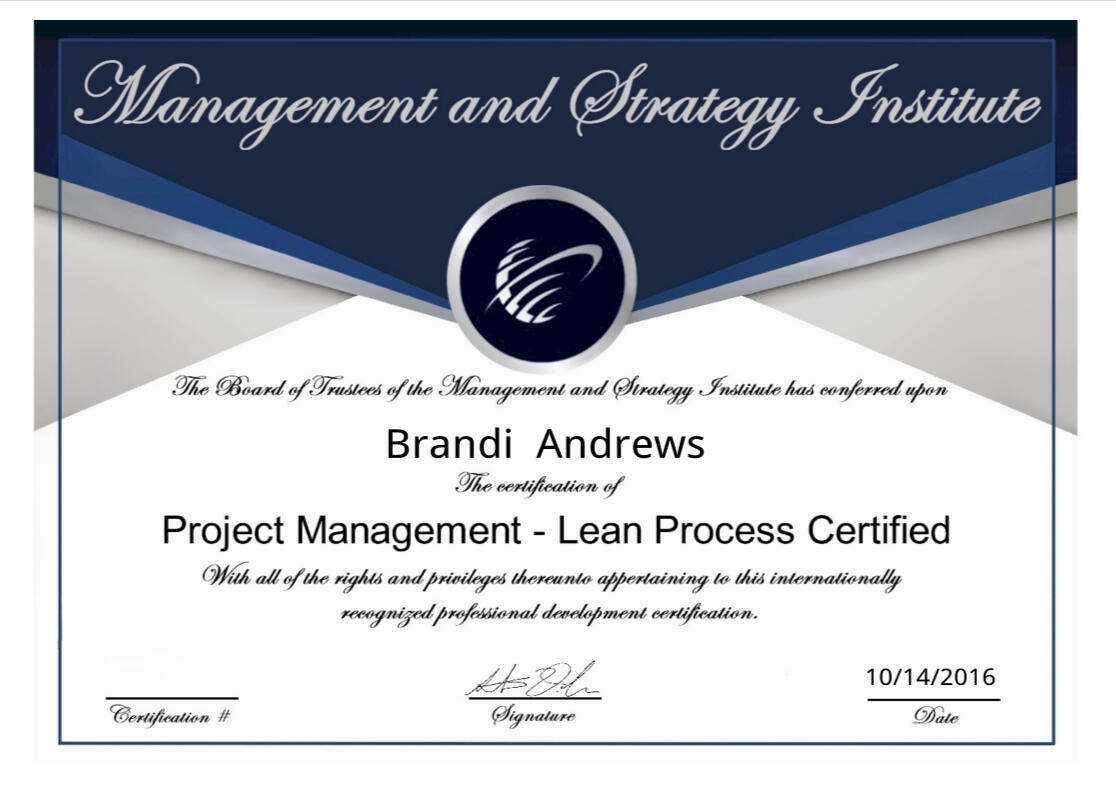 MSI - Project Management - Lean Process Certification